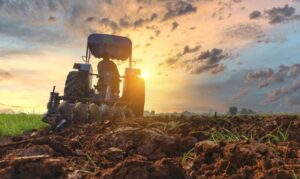 Rritet indeksi i përgjithshëm i çmimeve të prodhimeve bujqësore në vitin 2025, krahasuar me vitin 2024